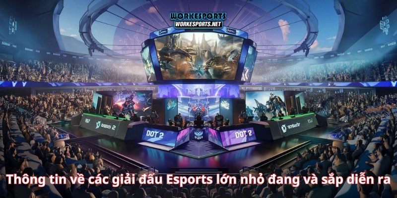 Thông tin về các giải đấu Esports lớn nhỏ đang và sắp diễn ra