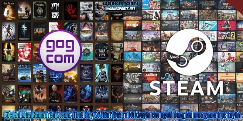 Sốc Khi Mua Game Trên Steam: Thuê Hay Sở Hữu? Đưa ra lời khuyên cho người dùng khi mua game trực tuyến